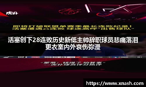 多多28官网